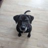 token's profile picture