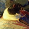 DHI's profile picture