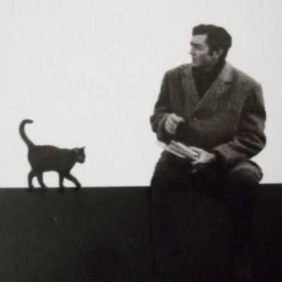 مونتاني's profile picture