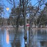 Фото профиля Randy Bennett