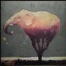 Profilbild von Ivan Stoev