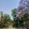 Фото профиля Oaxaqueño del color de la Tierra!!!