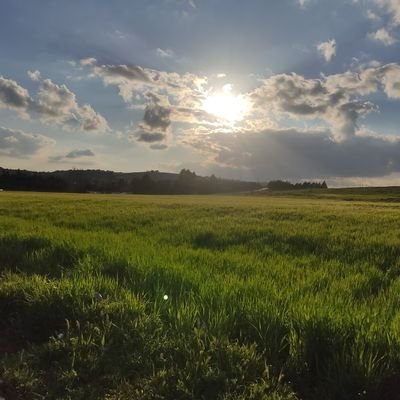 karmel196582's profile picture