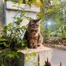 icut profil fotoğrafı