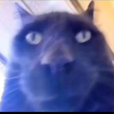 DeelanRH's profile picture