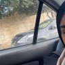 Nawal Zaki's profile picture
