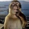 Фото профиля uhmmmm