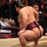 RUG PULL IN AFFECT 的头像