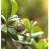 Фото профиля Norberto 🇺🇾🇺🇾🇺🇦🇺🇦🇮🇱🇮🇱🇺🇾🇺🇾🇺🇦🇺🇦