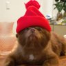 Marv 的头像