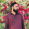 Profilbild von Muhammad Shehroz 🇵🇰