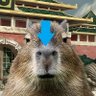 Cálvaro 的头像