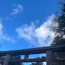 ゆきくん❅*॰ॱ's profile picture