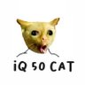 Lutfi Hasmat's profile picture