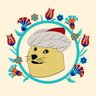 Profilbild von Kripto Ottoman🐟