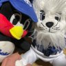 エール@YEELL🐧🦁's profile picture