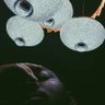 U_G_L_Y's profile picture