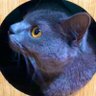 es@腐 profil fotoğrafı