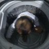bedebahfc's profile picture