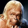 Dr. Zaius ᐰ's profile picture