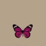 Soy Magda🌷's profile picture