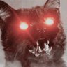 Profilbild von reeft