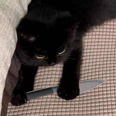 轻聿💤's profile picture