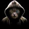 Фото профиля 🐈‍⬛