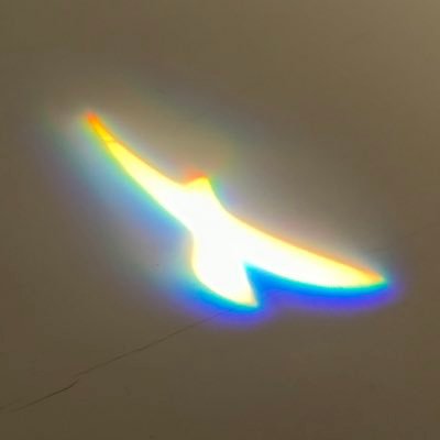 KAJI__OFFICIAL's profile picture
