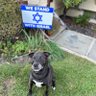 Dan Moore 🇺🇸🇮🇱 profil fotoğrafı