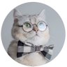 El Gato Relato profil fotoğrafı