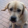 Charlie profil fotoğrafı