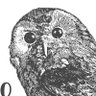 Profilbild von Doubtless
