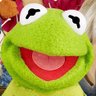 A.R's profile picture