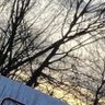skellie07 的头像