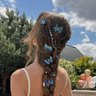 Sandra's profile picture