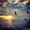 عبدالعزيز's profile picture