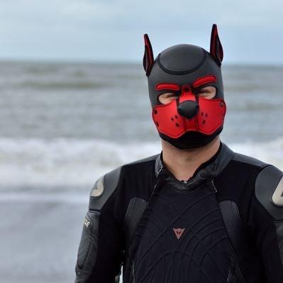 BaikaPUP's profile picture