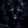 AlphaWolf111 的头像