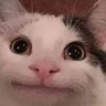 Profilbild von Kevin