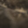 Steezykey profil fotoğrafı