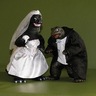 Фото профиля wedding shooter