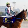 mitsu_lovely_horse_club 的头像