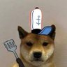 cap 的头像