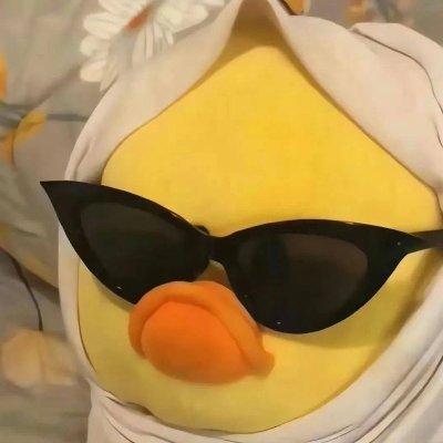 Shubhambo2325's profile picture