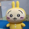 とも🐰 profil fotoğrafı