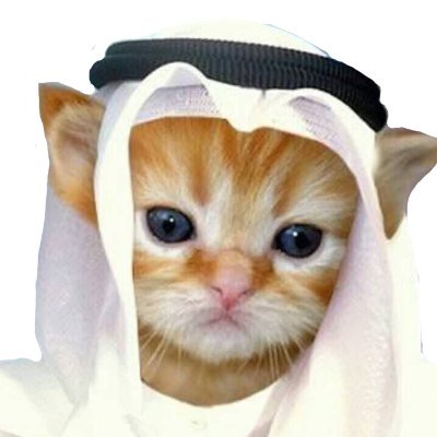 habibihasmoved's profile picture