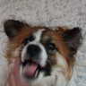 Нэлли's profile picture