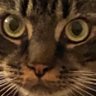 Kirkly's profile picture