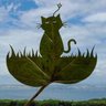 Фото профиля ナシラ⁷♑️🐥🦮